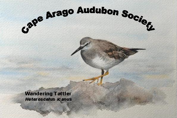 Cape Arago Audubon Society 