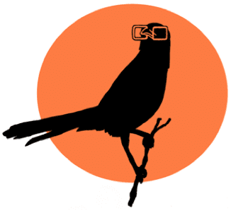 OSU Bird Nerds