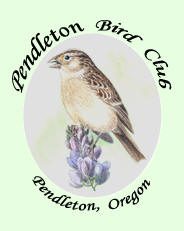Pendleton Birders