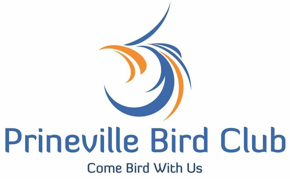 Prineville Bird Club