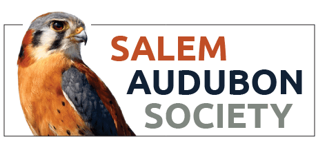 Salem Audubon Society