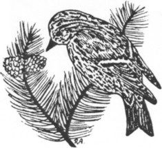 Siskiyou Audubon Society