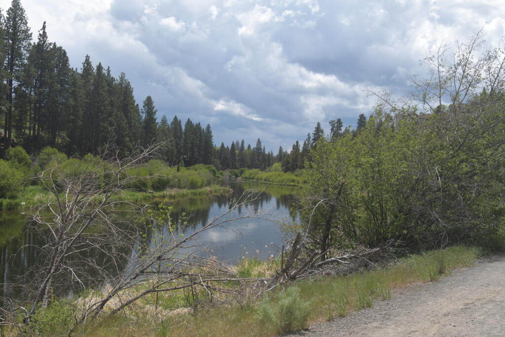 First Street River Trail Tom Crabtree